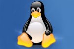 9 августа - День рождения операционной системы Linux