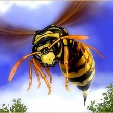 Ядовитые пчелы-убийцы найдены в Японии