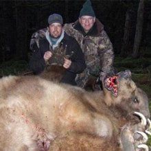 В камчатском аэропорту убили медведя