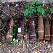 В лесу Полевского грибники собрали урожай из 97 боевых снарядов