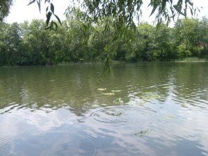 В Курской области купальный сезон унес жизни трех детей