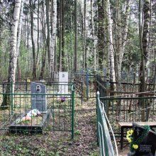 В Костроме ящики с человеческими органами нашли на кладбище