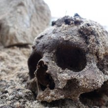 В Калининградской области дети нашли в песочнице человеческий череп