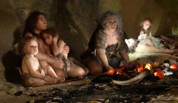 Ученые воссоздали среду обитания неандертальцев, живших на Алтае