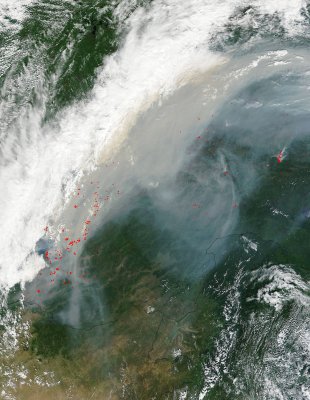 NASA опубликовало снимок пожаров в Сибири со спутника