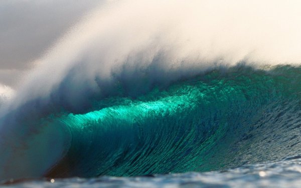 Ученые предрекли появление цунами, который смоет 130 миллионов человек