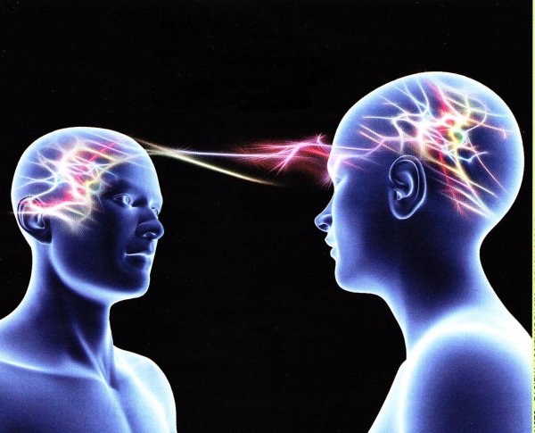 Ученые соединили два человеческих мозга через интернет