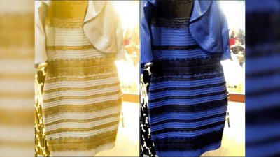 Учёные открыли тайну сине-чёрного и бело-золотого платья