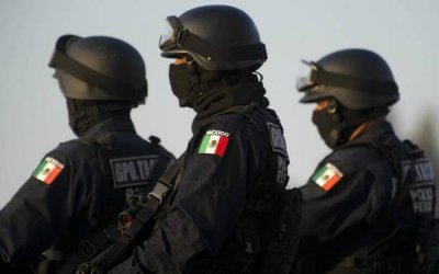 В Мексике обнаружено массовое захоронение