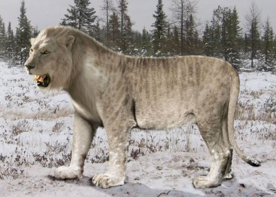 В Башкирии нашли останки гигантского пещерного льва, которым 30 тыс. лет