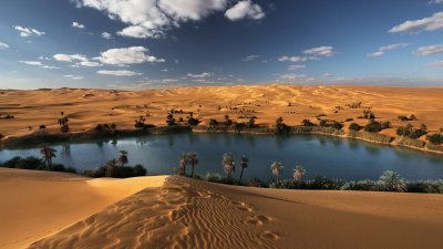 В Тунисе в центре пустыни всего за 1 день появилось озеро