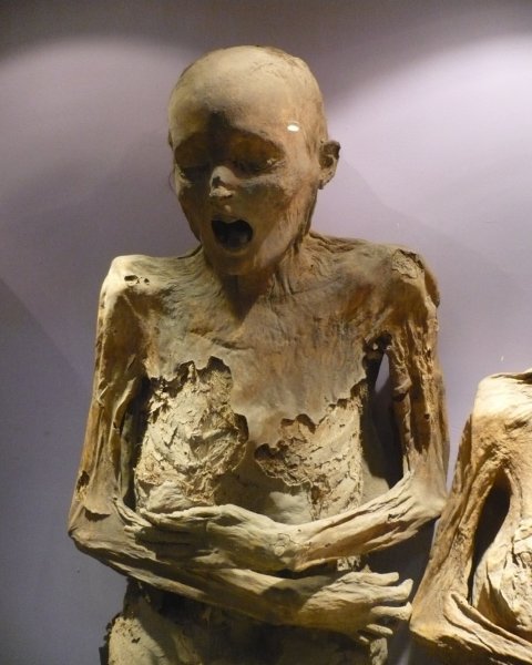 Охранник музея в США изнасиловал 2500-летнюю мумию