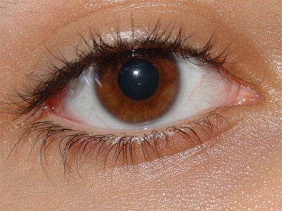 Японские ученые создали искусственную клетчатку глаз