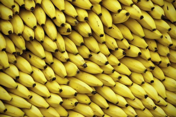 Ученые предлагают платить женщинам за поедание бананов