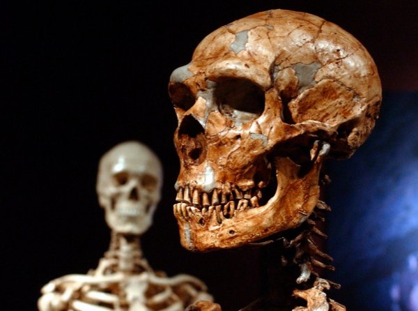 Ученые: Первые жители Европы были неандертальцами