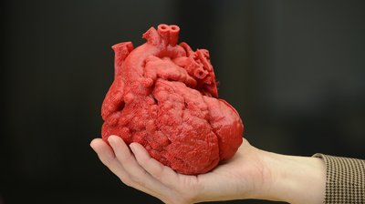 Ученые создали наноткань, способную лечить сердце через интернет