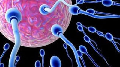 Ученые работают над созданием оральных контрацептивов унисекс