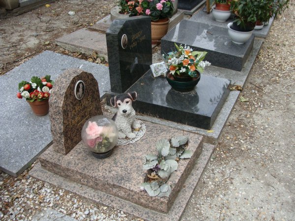 Омских чиновников обязали снести кладбище домашних животных