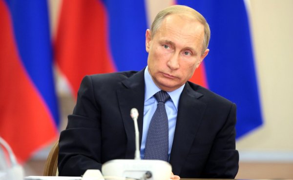 Путина попросили проверить законность преследования собственника Домодедово
