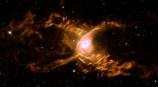 Специалисты NASA: Туманность «Паука» скрывает молодые звезды