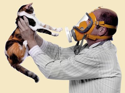 Сорбенты помогают в лечении аллергии на кошек