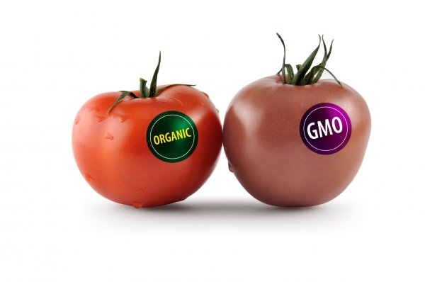 Ученые доказали безвредность ГМО-продуктов