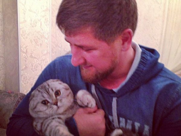 Кадыров прокомментировал высказывание ведущего НВО о пропаже его кота