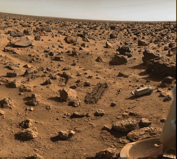 Уфологи обнаружили на Марсе череп пришельца-йети