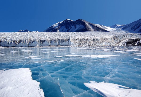 Ученые: Красные водоросли ускоряют таяние ледников Арктики