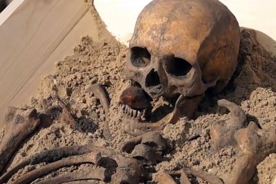 Обнаруженные в Польше останки вампира решили выставить в музее