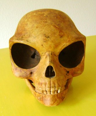 В Дании нашли череп инопланетянина