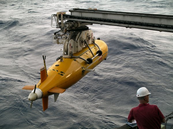 На Тихом океане для учета морских биологических ресурсов используют подводные роботы