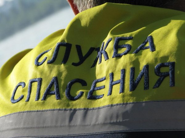 В Челябинской области найден живым пропавший 10-летний мальчик