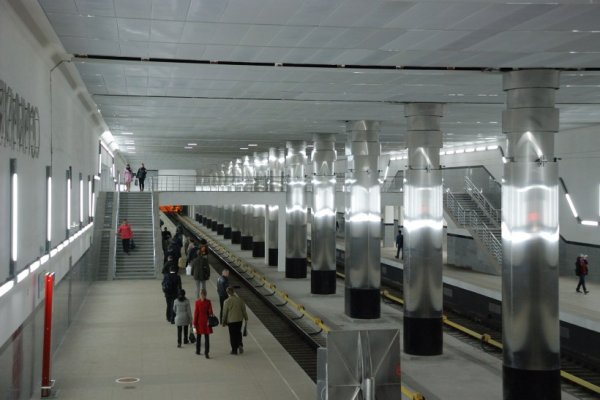 В Москве решили закрыть станцию метро «Мякинино»