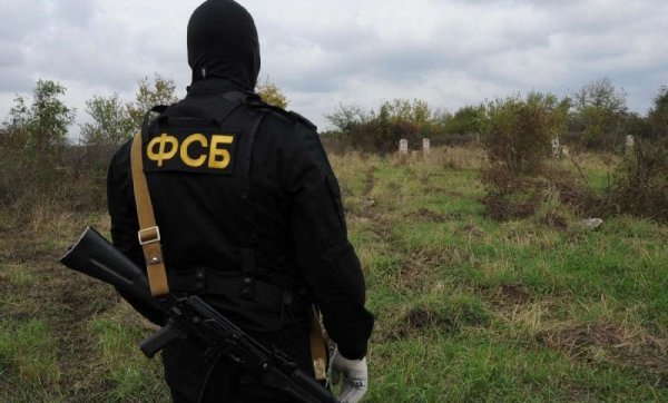 В Белгородской области нашли тайник с оружием времён ВОВ