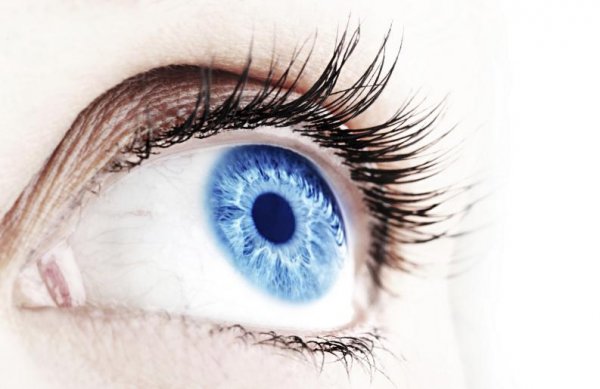 Ученые раскрыли секрет строения сетчатки глаза