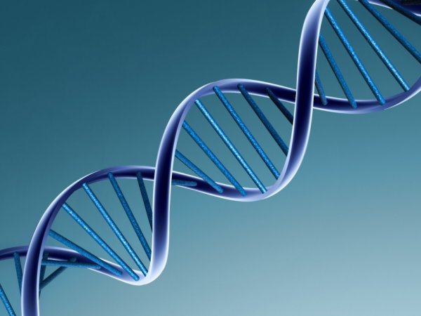 Ученые узнали про зависимость шизофрении от генома