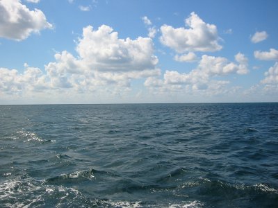 Черное море потеряло более трети пригодного для жизни объема