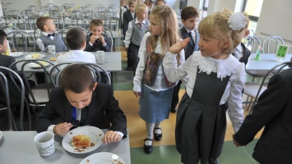 Лимит на оплату школьного питания в Нижнем Новгороде – необходимость или произвол