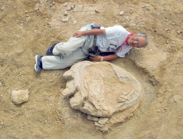 В Монголии обнаружены гигантские следы динозавров