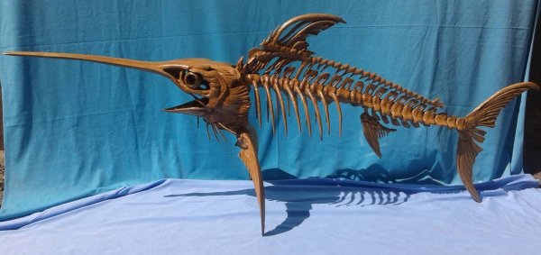 Ученые: В Австралии найдет скелет рыбы-меч возрастом 100 млн лет