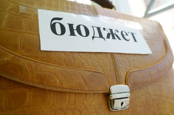 Бюджет Ульяновской области на 2017 год сохранит социальную направленность