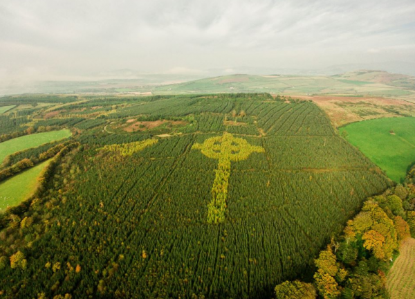 На севере Ирландии нашли огромный кельтский крест из деревьев