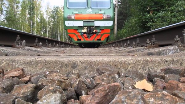 В Чехии два подростка легли под несущийся поезд