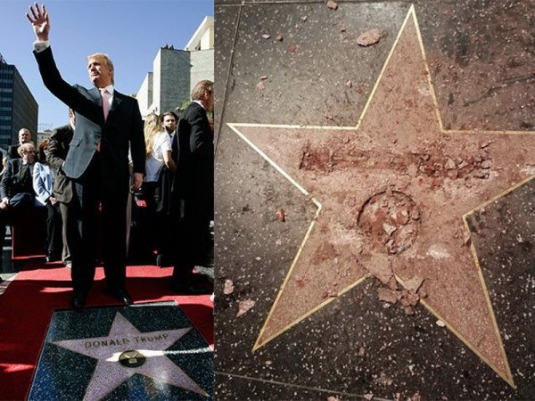 К звезде Трампа в Голливуде приставлена круглосуточная охрана
