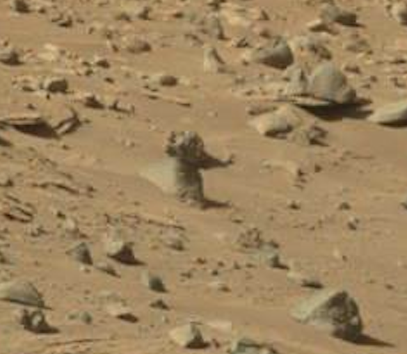 На снимках с Марса обнаружили доказательства живых существ