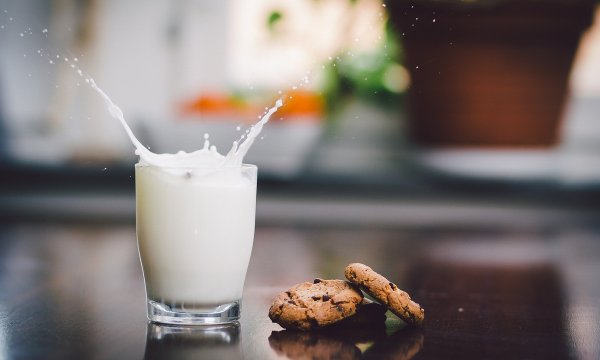 Ученые рассказали о полезности молока для эффективной работы мозга