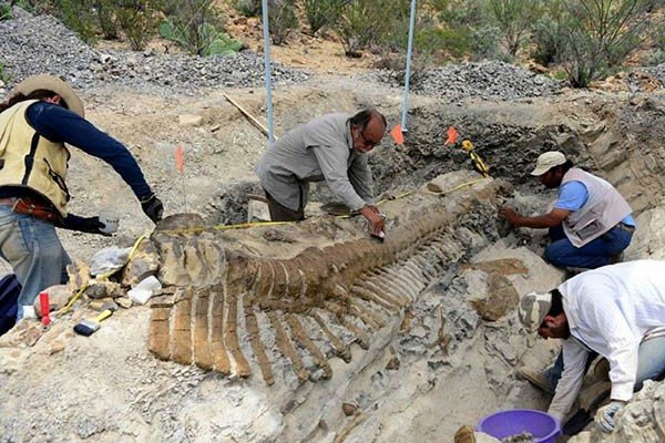 Палеонтологи обнаружили останки первых сухопутных животных