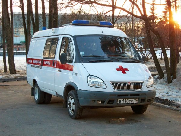 В Ивановской области годовалая девочка погибла во время прогулки