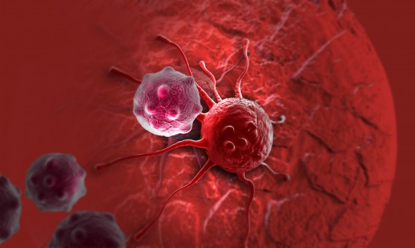 Ученые обнаружили два фермента, стимулирующих рост раковых клеток